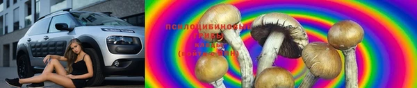 амф Володарск