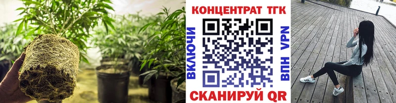 Купить  Арамиль  ТГК гашишное масло 